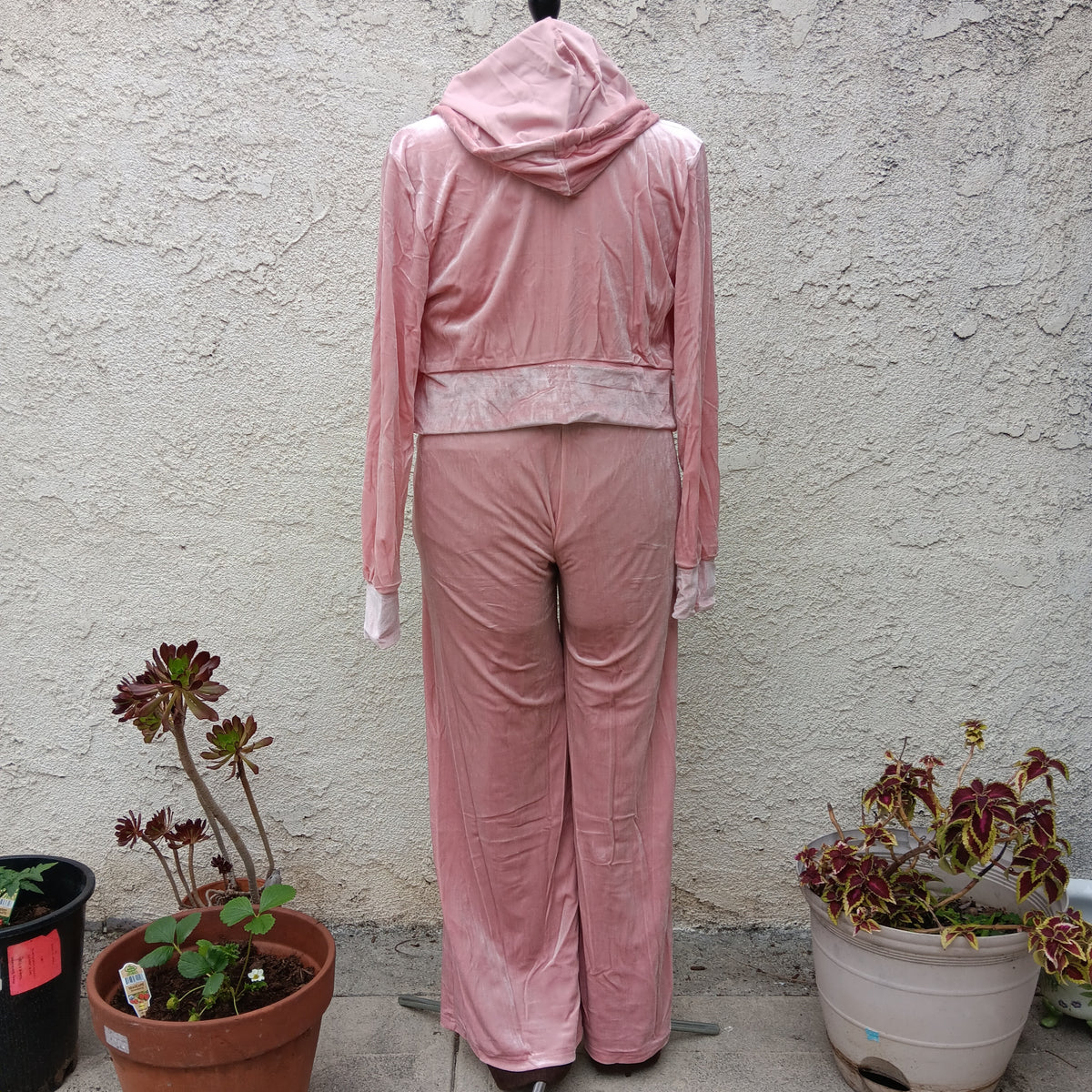 Blossom Luxurious Velour 2 Piece Tracksuit
