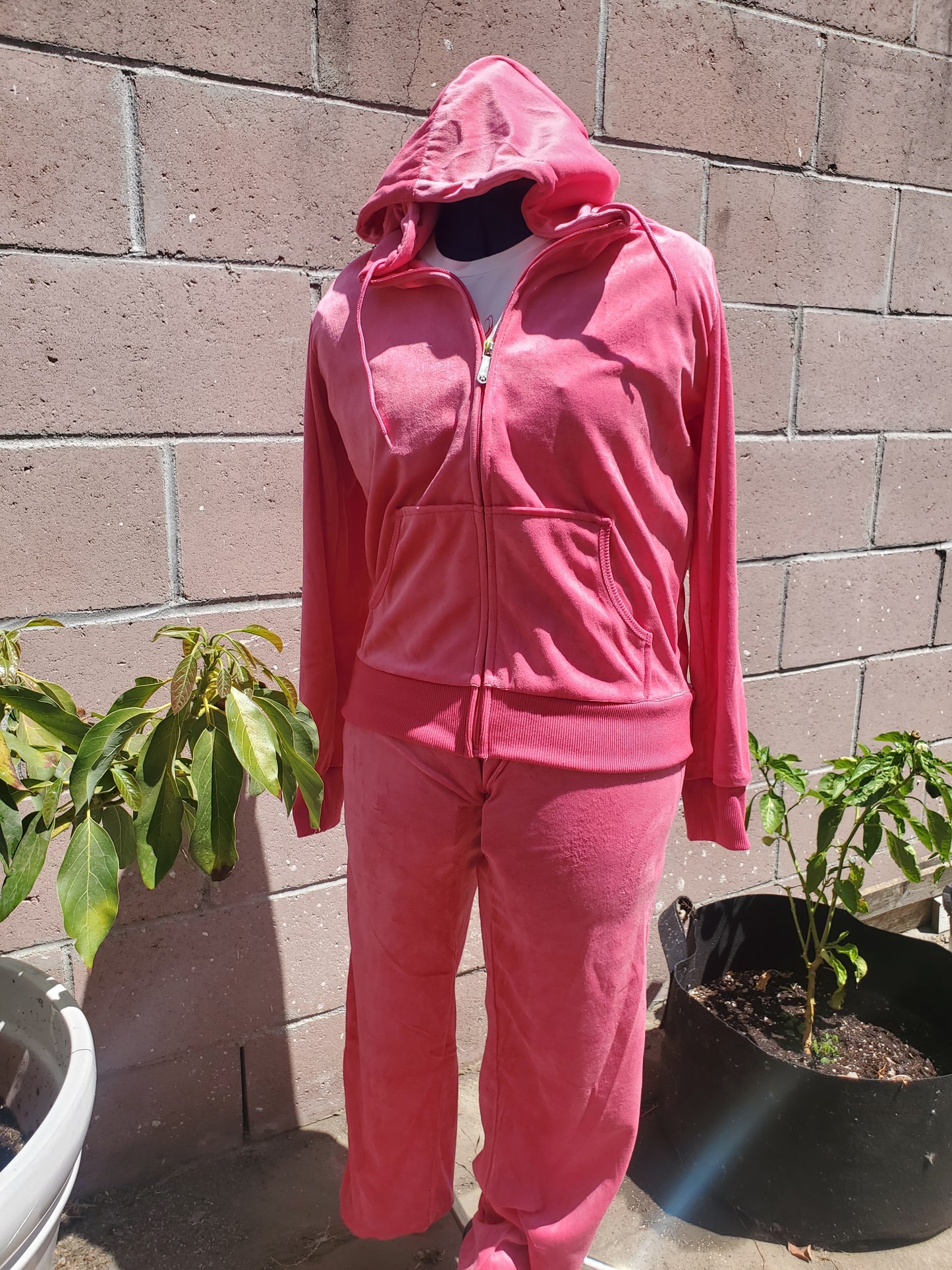 Going Out Velour Tracksuit | Starburst PINK